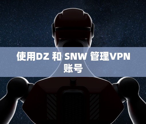使用DZ 和 SNW 管理VPN账号 使用DZ 和 SNW 管理VPN账号