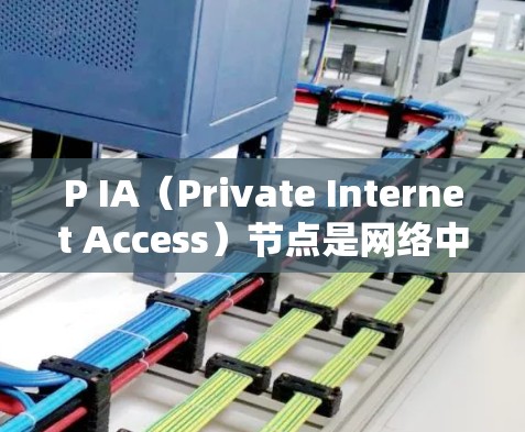 P IA（Private Internet Access）节点是网络中控制本地私有网络与外部互联网连接的核心节点。以下是关于P IA节点管理的关键点和步骤