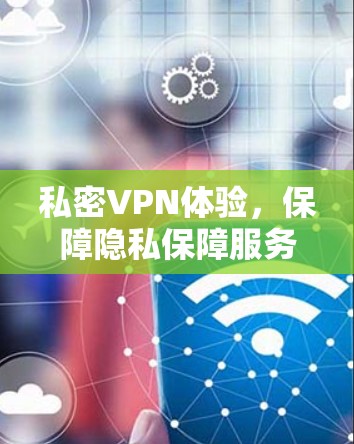 私密VPN体验，保障隐私保障服务
