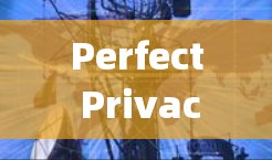 Perfect Privacy VPN 提供了丰富的隐私功能配置选项，帮助用户保护自己的网络和数据。以下是其主要的隐私功能配置说明